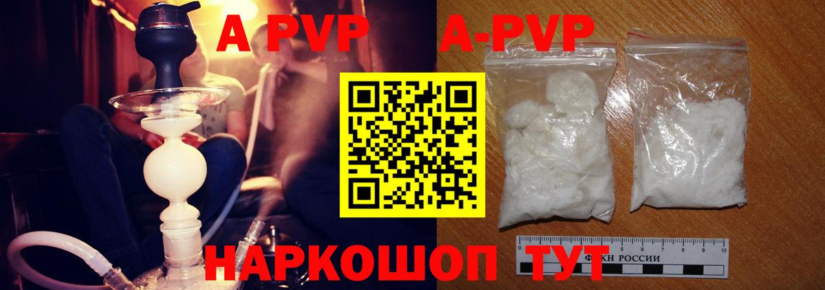Альфа ПВП СК Новодвинск