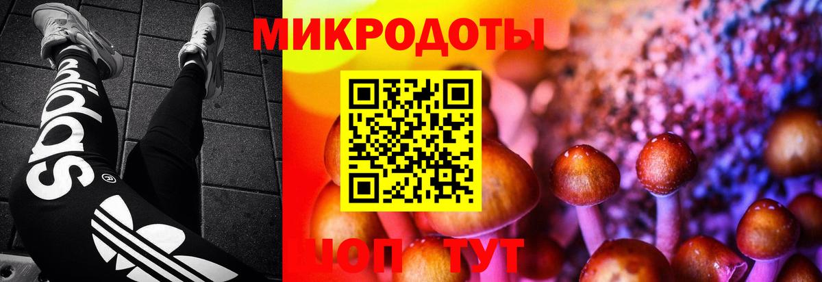 Галлюциногенные грибы Cubensis Новодвинск